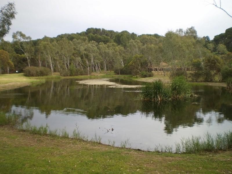 10 Old Orchard Close, Athelstone SA 5076