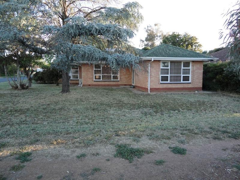 44 Ross Road, Hectorville SA 5073