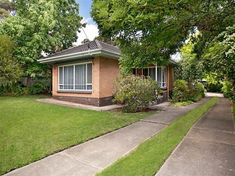 5 Maple Avenue, Magill SA 5072