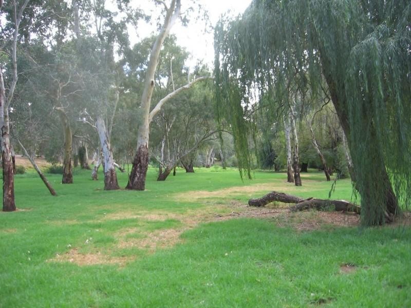 4 Diekman Avenue, Felixstow SA 5070