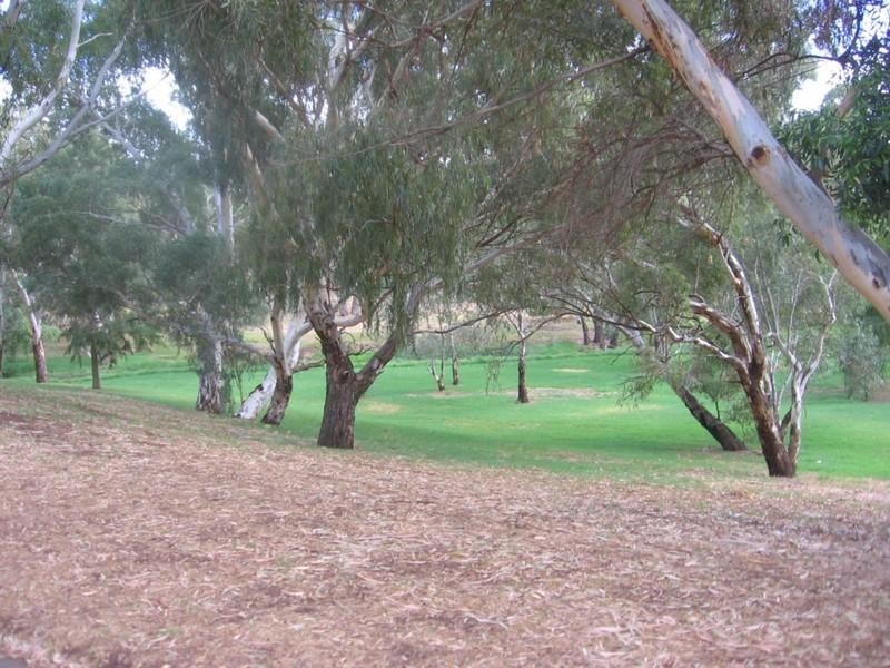 4 Diekman Avenue, Felixstow SA 5070