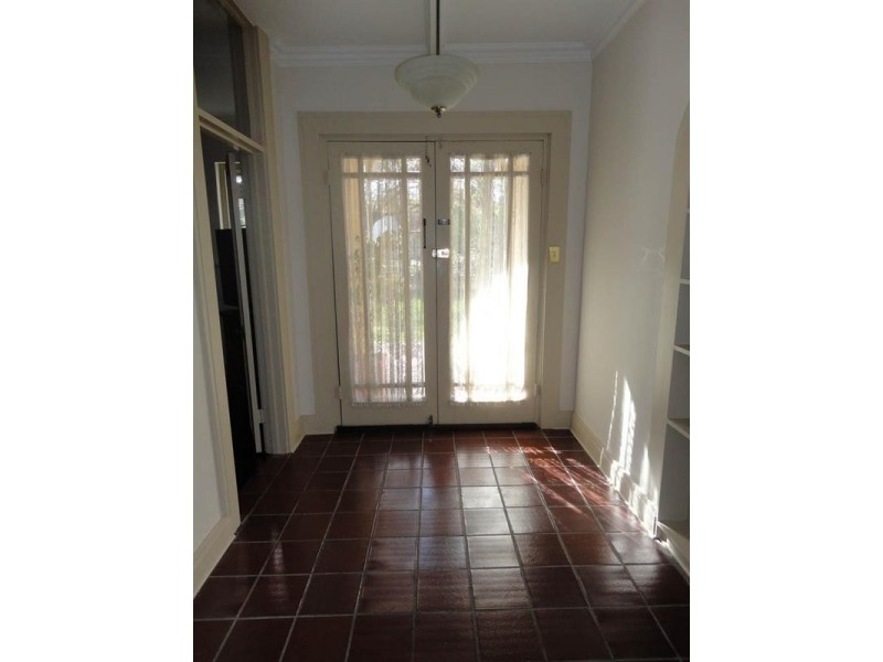 17 Tyson Street, Ashford SA 5035