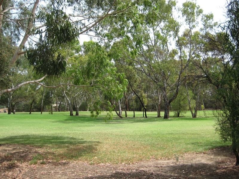 7 Andrew Avenue, Campbelltown SA 5074