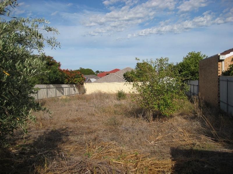 2 Flotta Street, Newton SA 5074