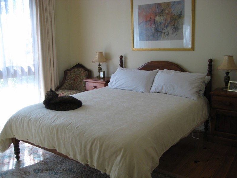 10 Elm Road, Campbelltown SA 5074