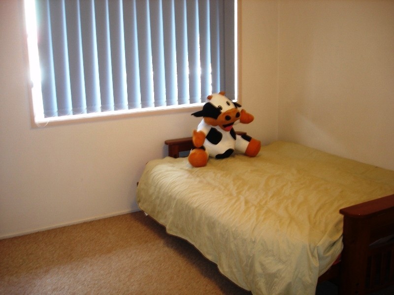 4 Cockatiel Place, Springfield QLD 4300