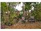 14 Dawson Court, Collingwood Park QLD 4301