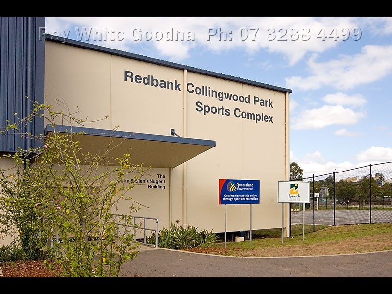 10 Collingwood Drive, Collingwood Park QLD 4301