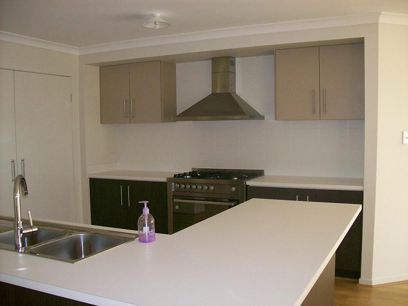 195 Alawoona Street, Redbank Plains QLD 4301