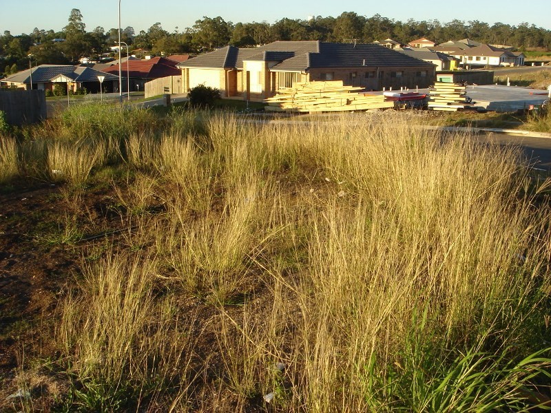 7 Bonogin Court, Redbank Plains QLD 4301