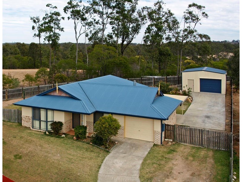 29 Burdekin Court, Collingwood Park QLD 4301