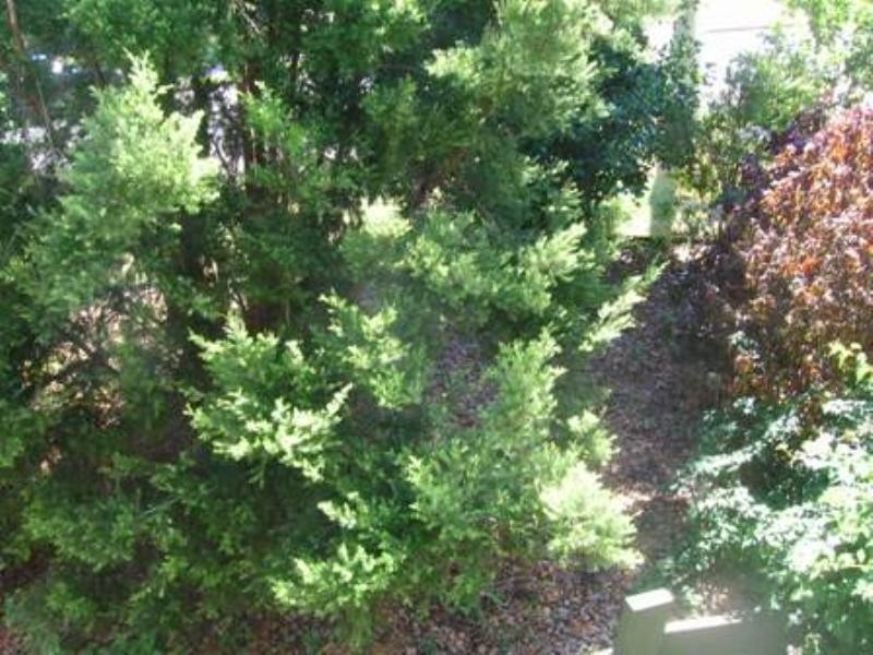 Redbank Plains QLD 4301