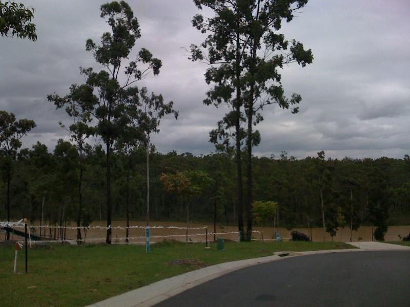 1 Cascades Street, Springfield Lakes QLD 4300