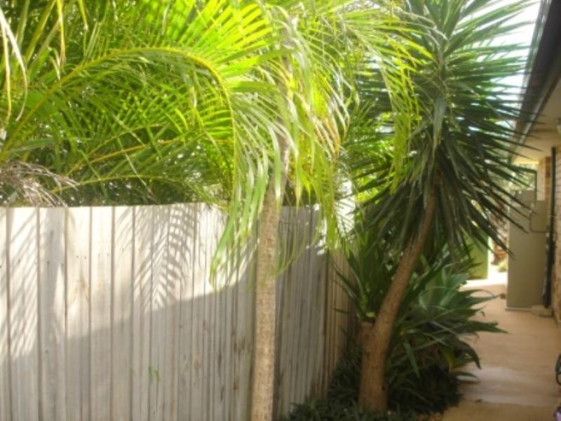 Goodna QLD 4300