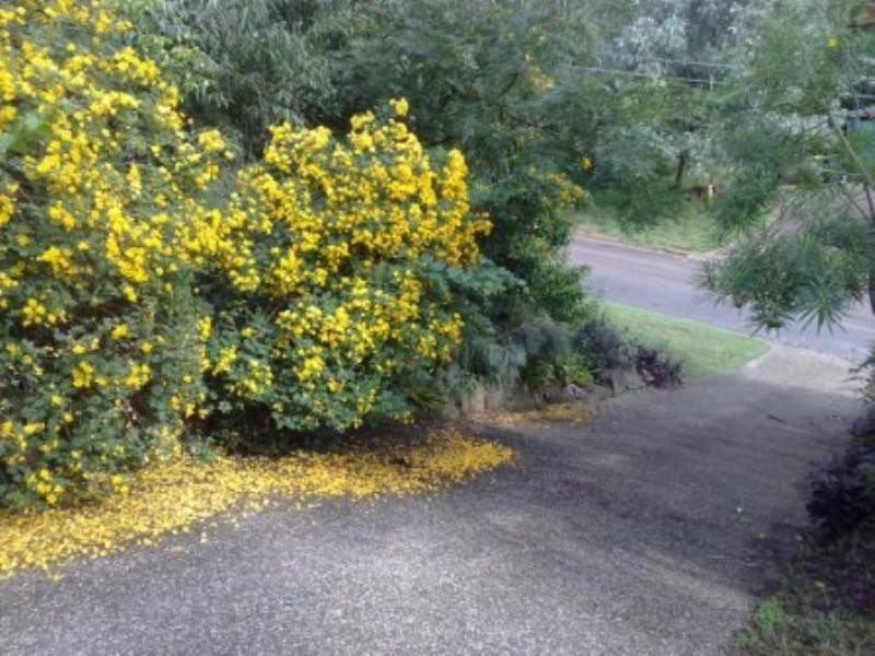 Bellbird Park QLD 4300