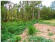 56 Woodlands Avenue, Camira QLD 4300