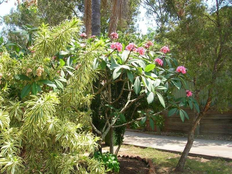 Bellbird Park QLD 4300