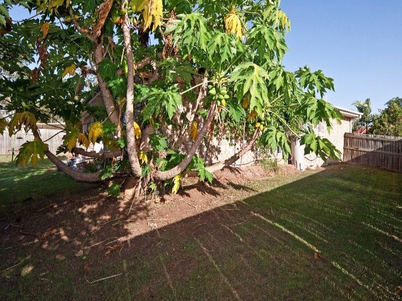 37 Ingles Drive, Redbank Plains QLD 4301