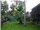 213 Brisbane Terrace, Goodna QLD 4300