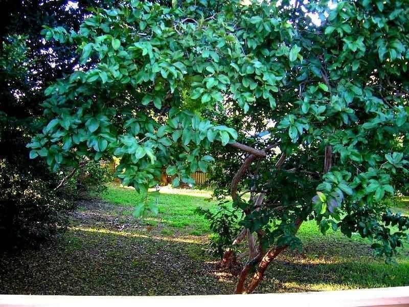 5 STANLEY Street, Goodna QLD 4300