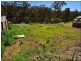 Bellbird Park QLD 4300