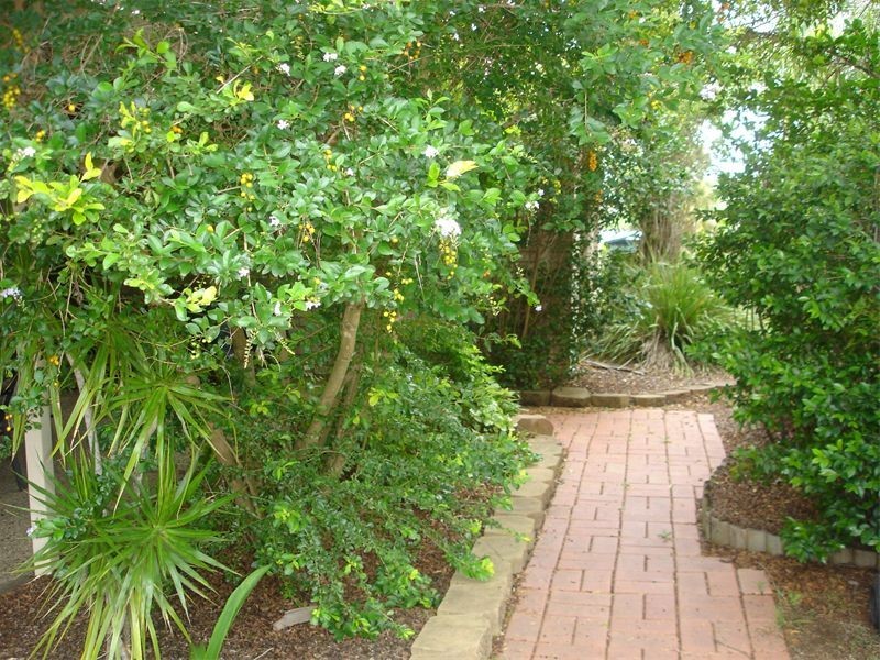 3 Penrose Circuit, Redbank Plains QLD 4301