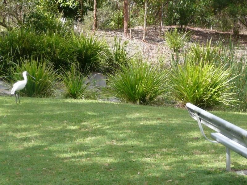 17 Woodbridge Crescent, Lake Munmorah NSW 2259