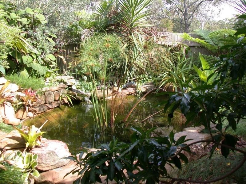 Lake Munmorah NSW 2259