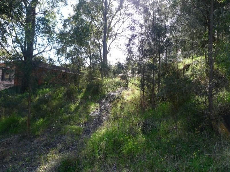 23 Hasluck Drive, Watanobbi NSW 2259