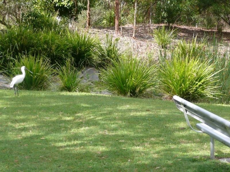 9 Sohrabi Place, Lake Munmorah NSW 2259