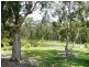 5 Staunton Court, Lake Munmorah NSW 2259