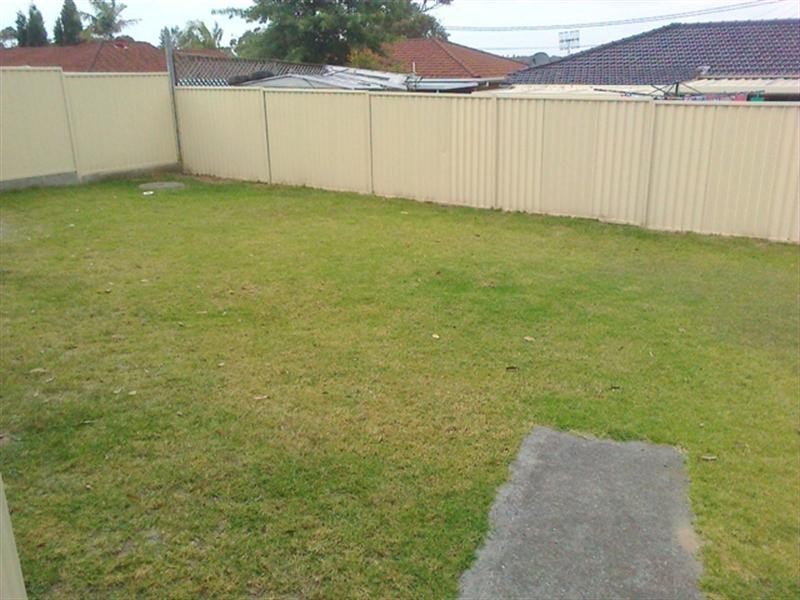 19 Whiteswan Avenue, Blue Haven NSW 2262