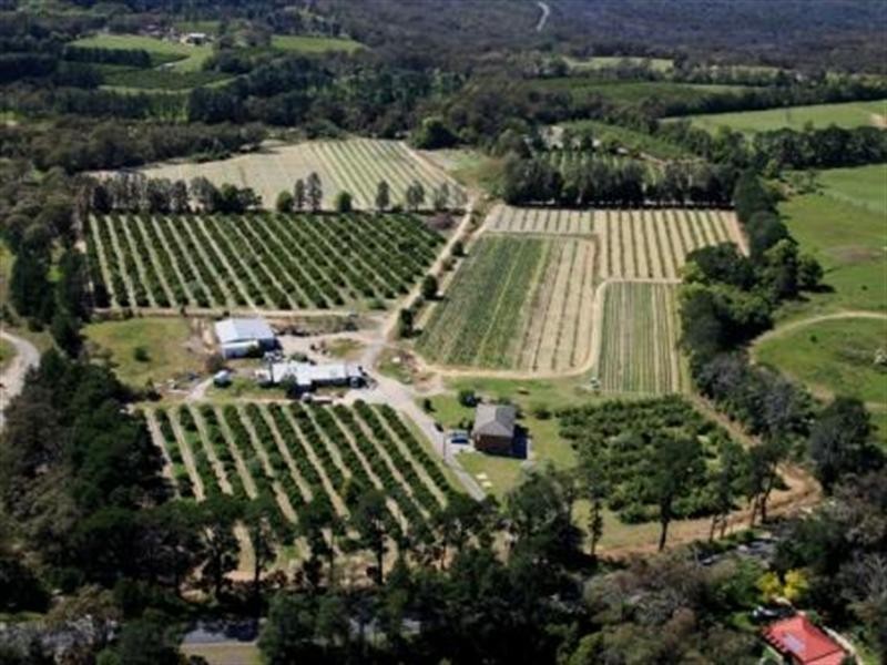 138 George Downes Drive, Central Mangrove NSW 2250