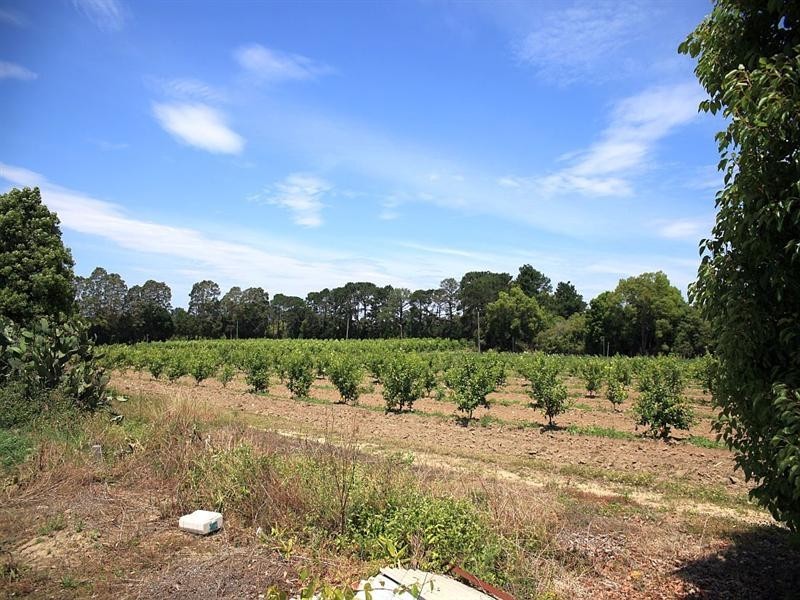 138 George Downes Drive, Central Mangrove NSW 2250