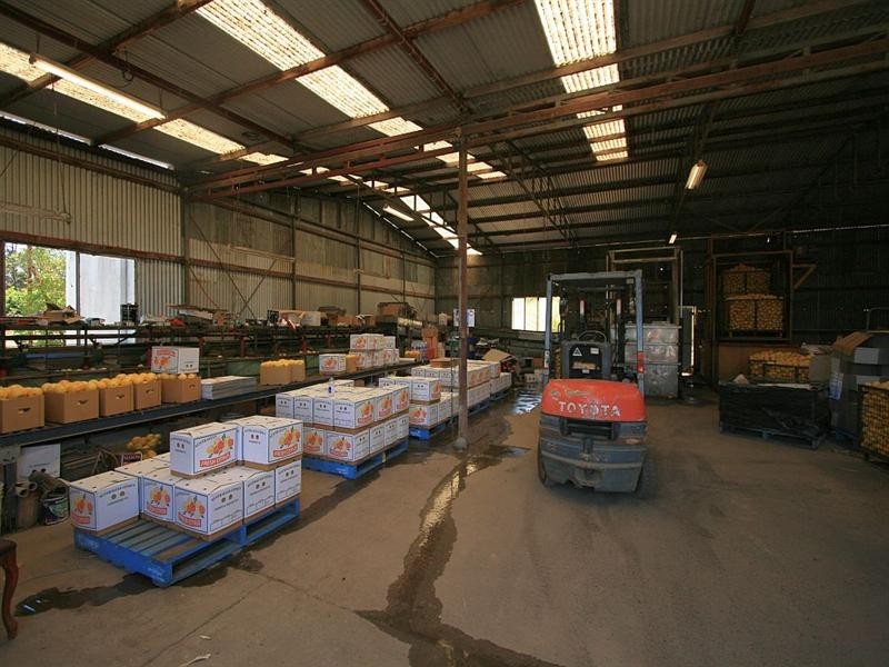 138 George Downes Drive, Central Mangrove NSW 2250