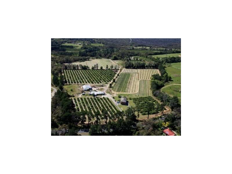 138 George Downes Drive, Central Mangrove NSW 2250
