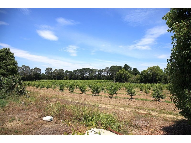 138 George Downes Drive, Central Mangrove NSW 2250