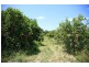138 George Downes Drive, Central Mangrove NSW 2250
