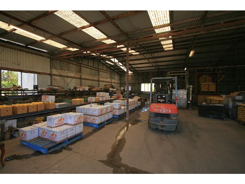 138 George Downes Drive, Central Mangrove NSW 2250