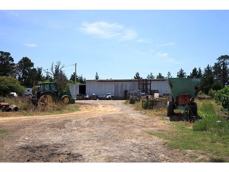 138 George Downes Drive, Central Mangrove NSW 2250