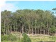 28-34 Timber Drive, Lisarow NSW 2250