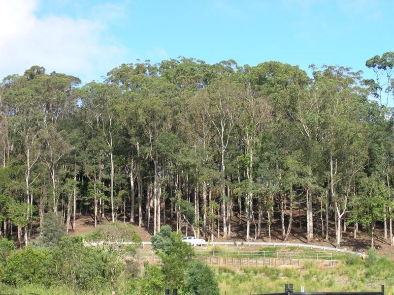 28-34 Timber Drive, Lisarow NSW 2250