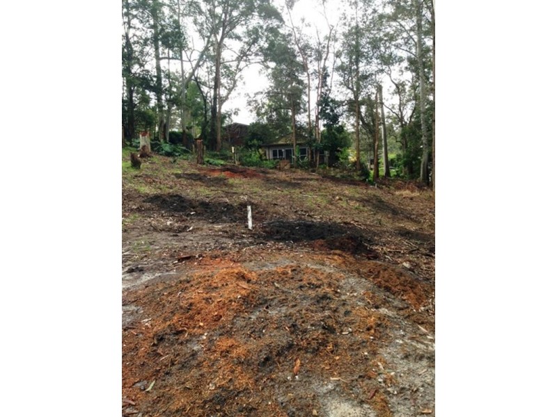 Springfield NSW 2250