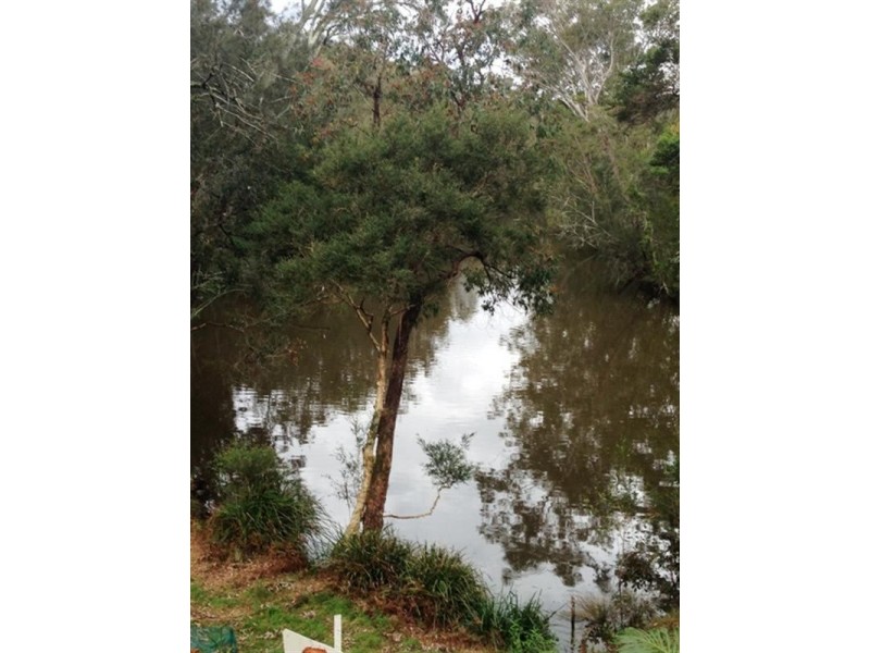 Springfield NSW 2250