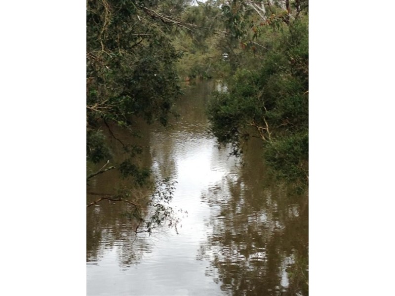 Springfield NSW 2250