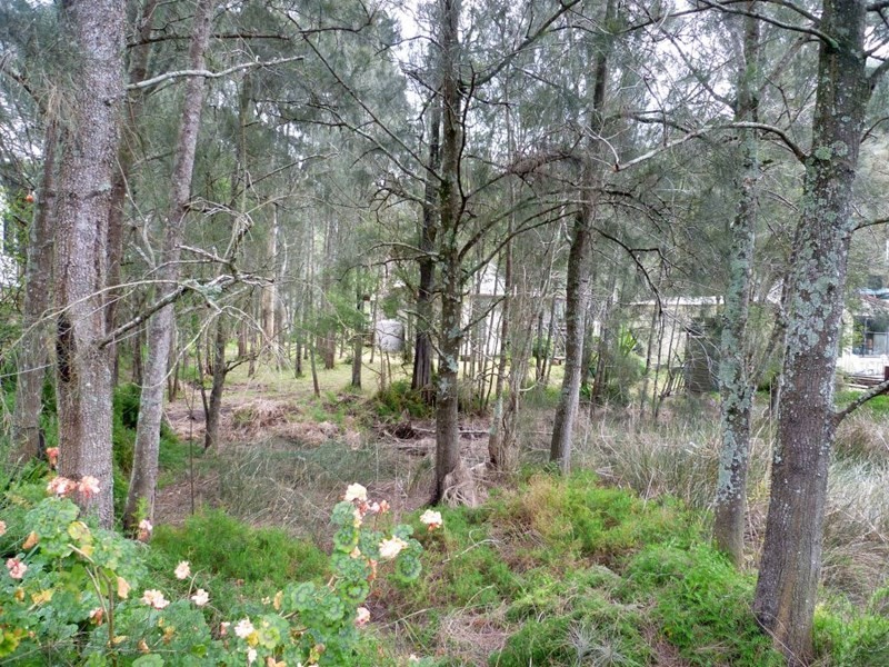 5257 Wisemans Ferry Road, Spencer NSW 2775