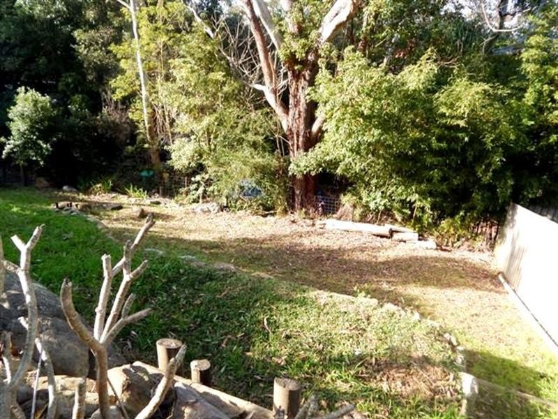 118 Berrys Head Road, Narara NSW 2250