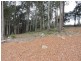 Lot 1, 521 Sunnyvale Close, Lisarow NSW 2250