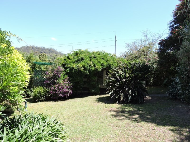 52 Dwyer Street, North Gosford NSW 2250