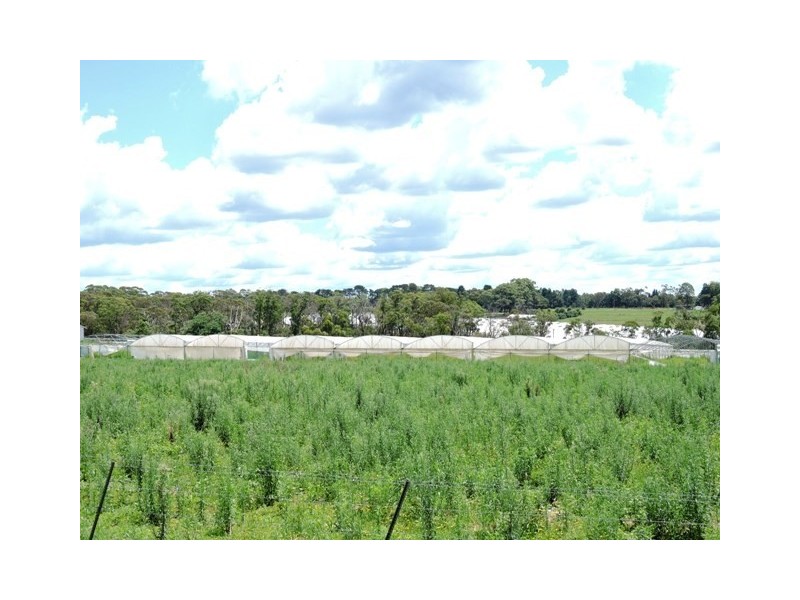 Peats Ridge NSW 2250